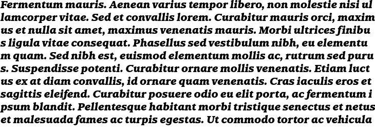 `Claremont RR ExtraBold Italic` Preview