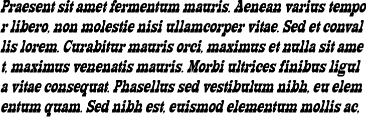 `Selebor Condensed Oblique` Preview