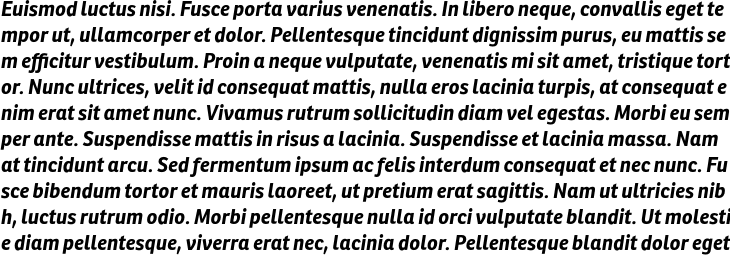 `Ronnia Basic Bold Italic` Preview