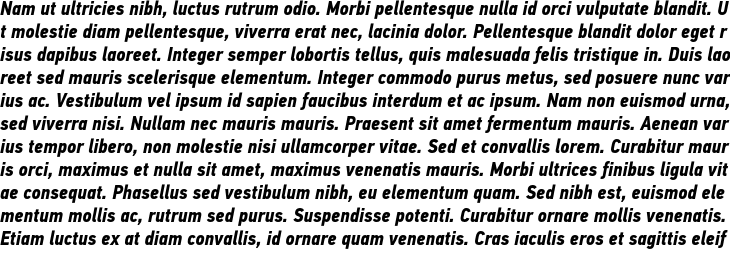 `PF DIN Text Pro Condensed Bold Italic` Preview