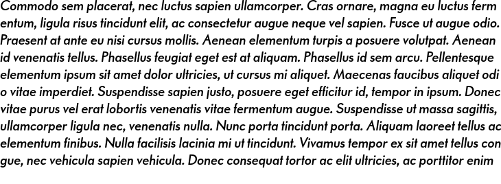 `Paneuropa Retro Soft DemiBold Italic` Preview