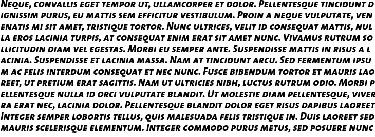 `TheSans 8 ExtraBold Caps Italic` Preview