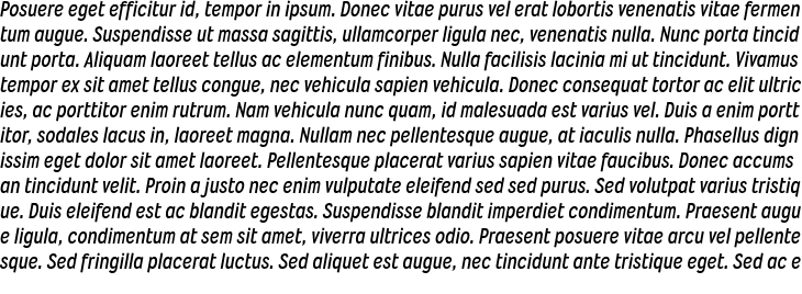 `Wyvern Rg Bold Italic` Preview