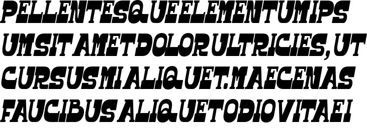 `Scalter Serif Condensed` Preview