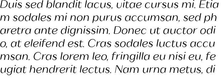 `Mavel Text Mediium Italic` Preview