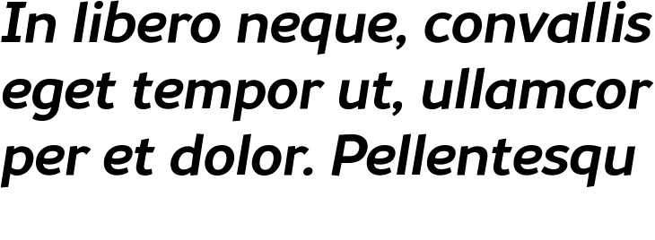 `Souses Bold Italic` Preview