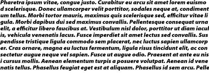 `Myriad Pro Black Italic SemiExtended` Preview