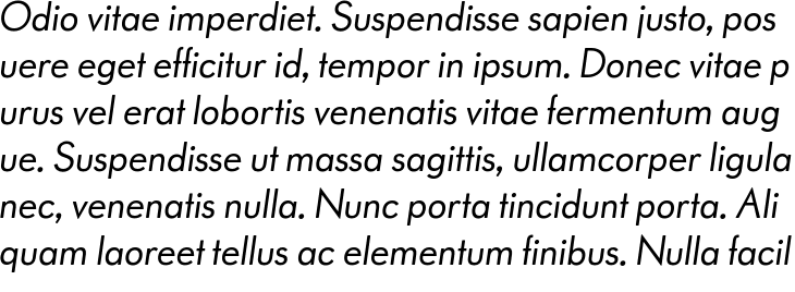 `Paneuropa Retro Soft Regular Italic` Preview