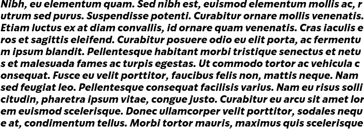 `SoDo Sans Bold Italic` Preview