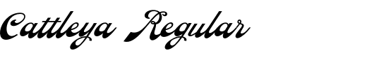 `Cattleya Regular` Preview