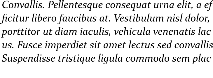 `Constantia Italic` Preview