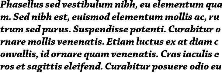 `Chaparral Pro SubHead Bold Italic` Preview