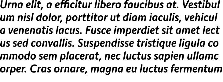`Moniker Medium Italic` Preview