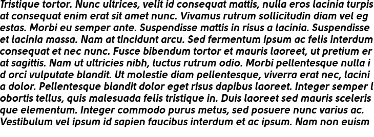 `Solomon Sans Bold Italic` Preview
