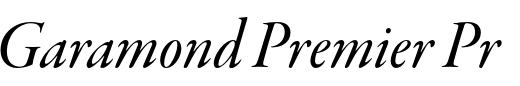 `Garamond Premier Pro Display Medium Italic` Preview