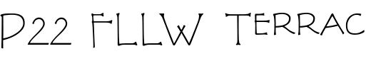 `P22 FLLW Terracotta Regular` Preview