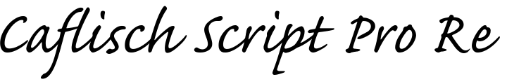 `Caflisch Script Pro Regular` Preview