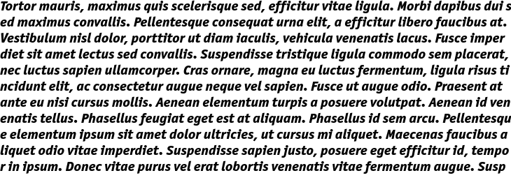 `Officina Sans Pro ExtraBold Italic` Preview