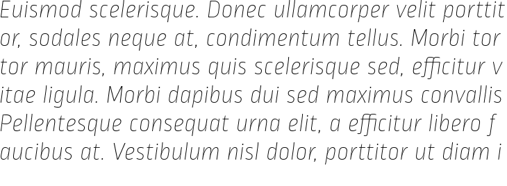 `Ropa Soft Pro Thin Italic` Preview