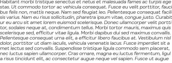 `Busup Sans Light Italic` Preview
