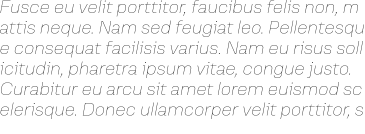 `Versos Test Thin Italic` Preview