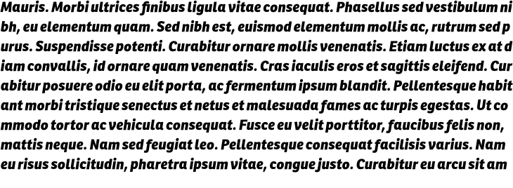 `Ronnia Basic ExtraBold Italic` Preview