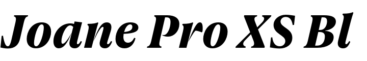 `Joane Pro XS Black Italic` Preview