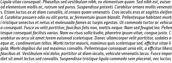 `Ropa Sans Pro Italic` Preview