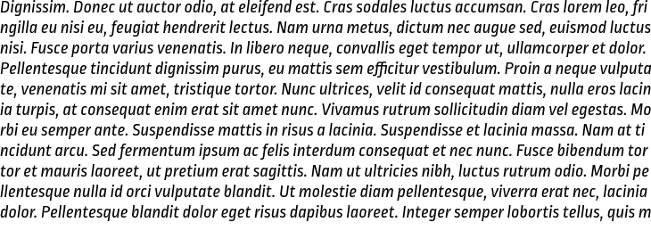 `Ropa Sans Italic` Preview