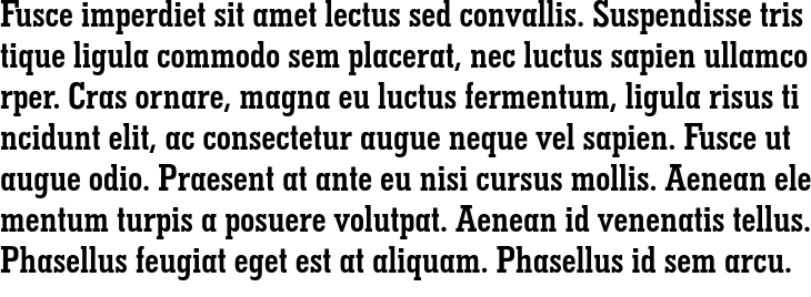 `Geometric Slabserif 703 Bold Condensed` Preview