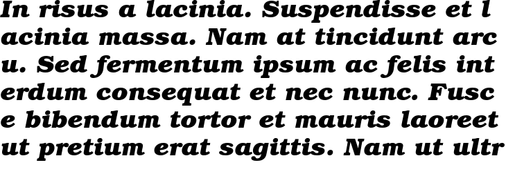 `ITC Bookman Bold Italic` Preview