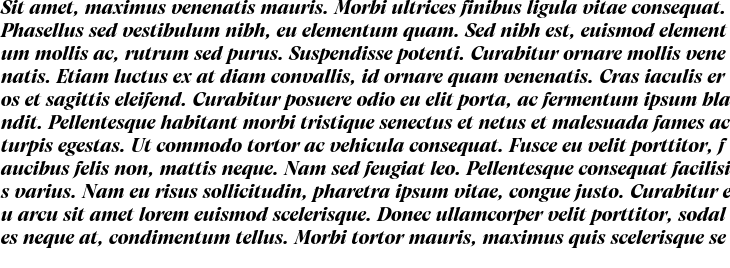 `Artusi Grande Trial Bold Italic` Preview
