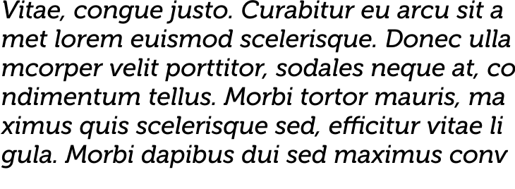 `Museo 500 Italic` Preview