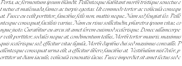 `The Seasons Light Italic` Preview