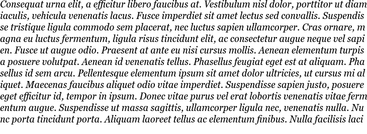 `Georgia Pro Condensed Italic` Preview