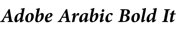 `Adobe Arabic Bold Italic` Preview