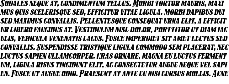 `Sernes Extra Bold Italic` Preview