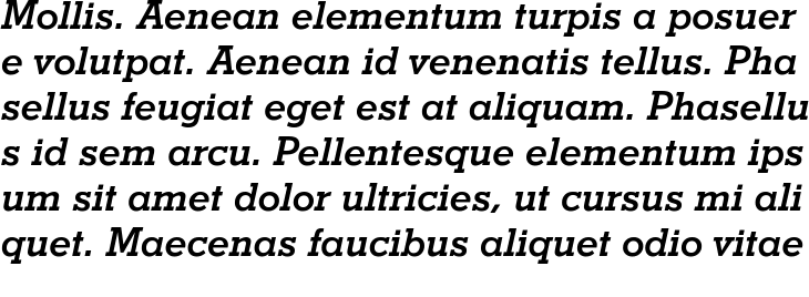 `Stymie Bold Italic` Preview