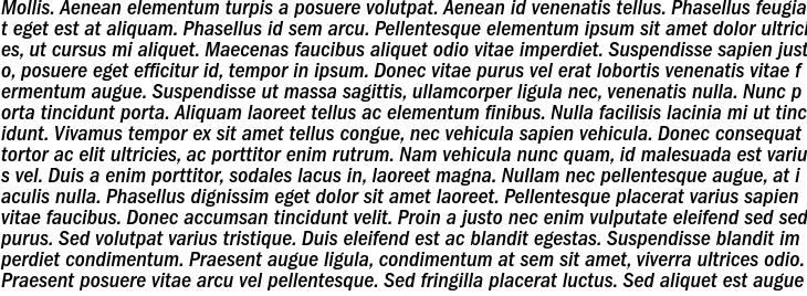 `ITC Franklin Gothic Medium Condensed Italic` Preview