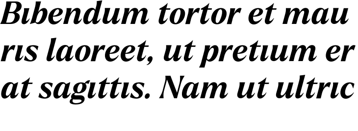 `Larken DEMO Bold Italic` Preview