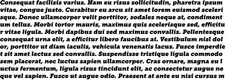 `Museo Slab 1000 Italic` Preview