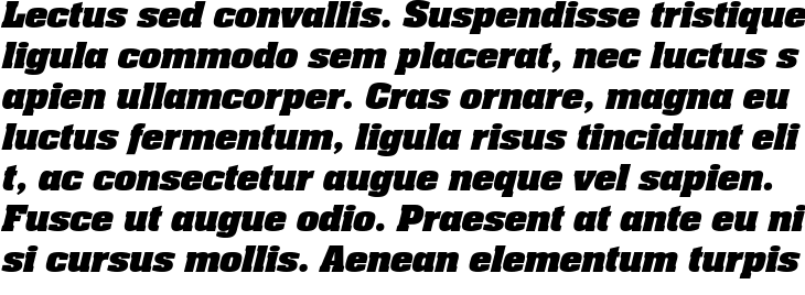 `Neue Aachen Pro Black Italic` Preview