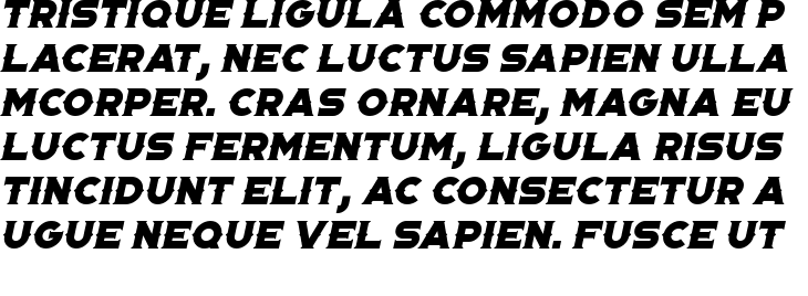 `Portico Diablo Oblique Regular` Preview