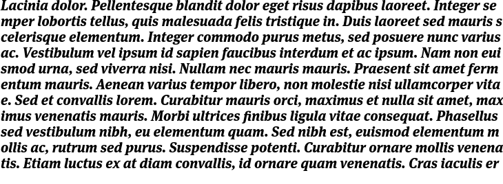 `Meta Serif Pro Extra Bold Italic` Preview