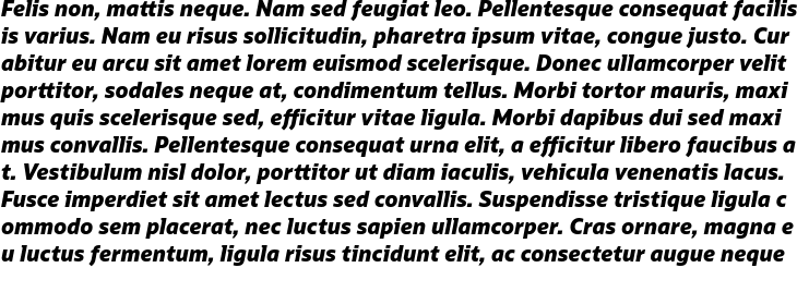 `Oracle Sans Extra Bold Italic` Preview