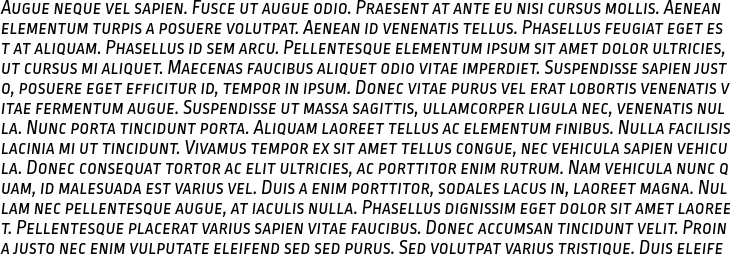 `Ropa Sans Small Caps Italic` Preview