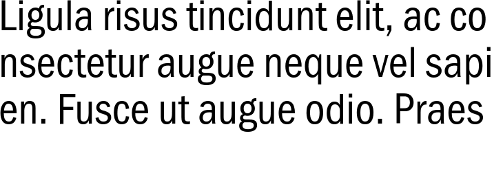 `ST Gothic Condensed Regular` Preview