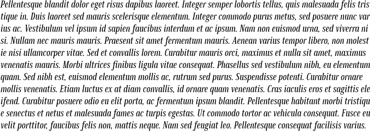 `Millard Condensed Regular Italic` Preview