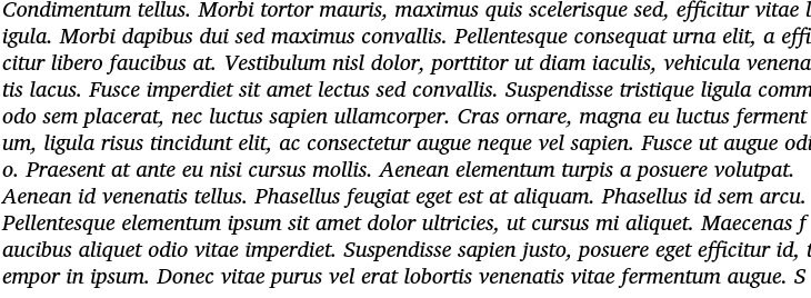 `Charis SIL Italic` Preview