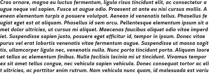`Certa Sans Medium Italic` Preview